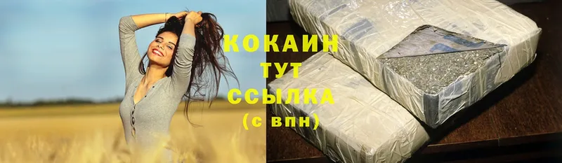 купить   Правдинск  Cocaine FishScale 