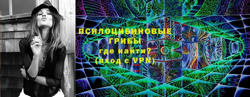 Галлюциногенные грибы GOLDEN TEACHER  Правдинск 